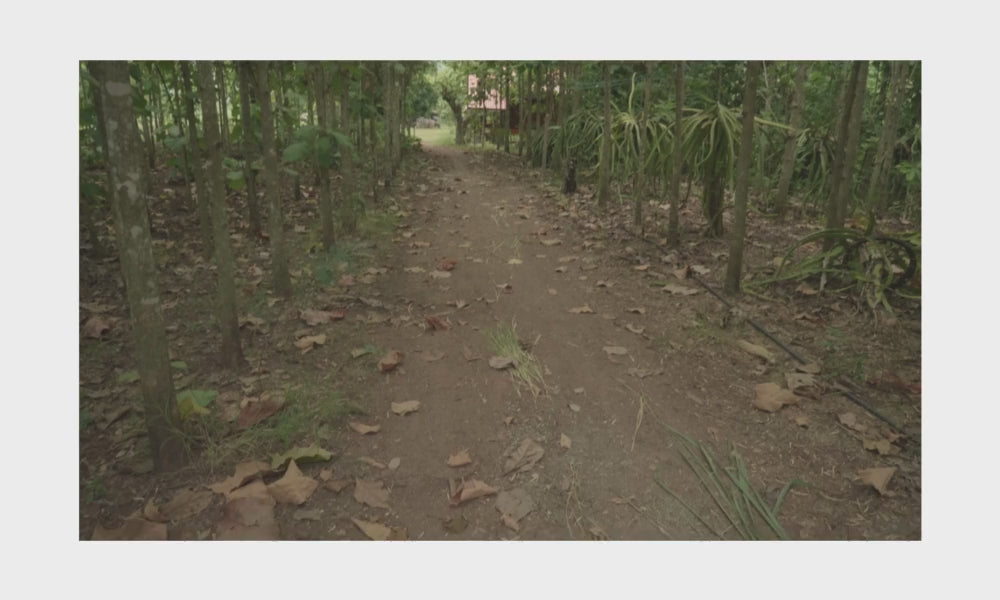 動画を読み込む: 